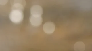 Thumbnail of post image 153