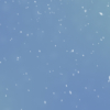 リアルな雪が降るループ背景素材【冬&クリスマス】