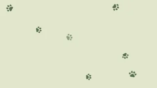 Thumbnail of post image 102